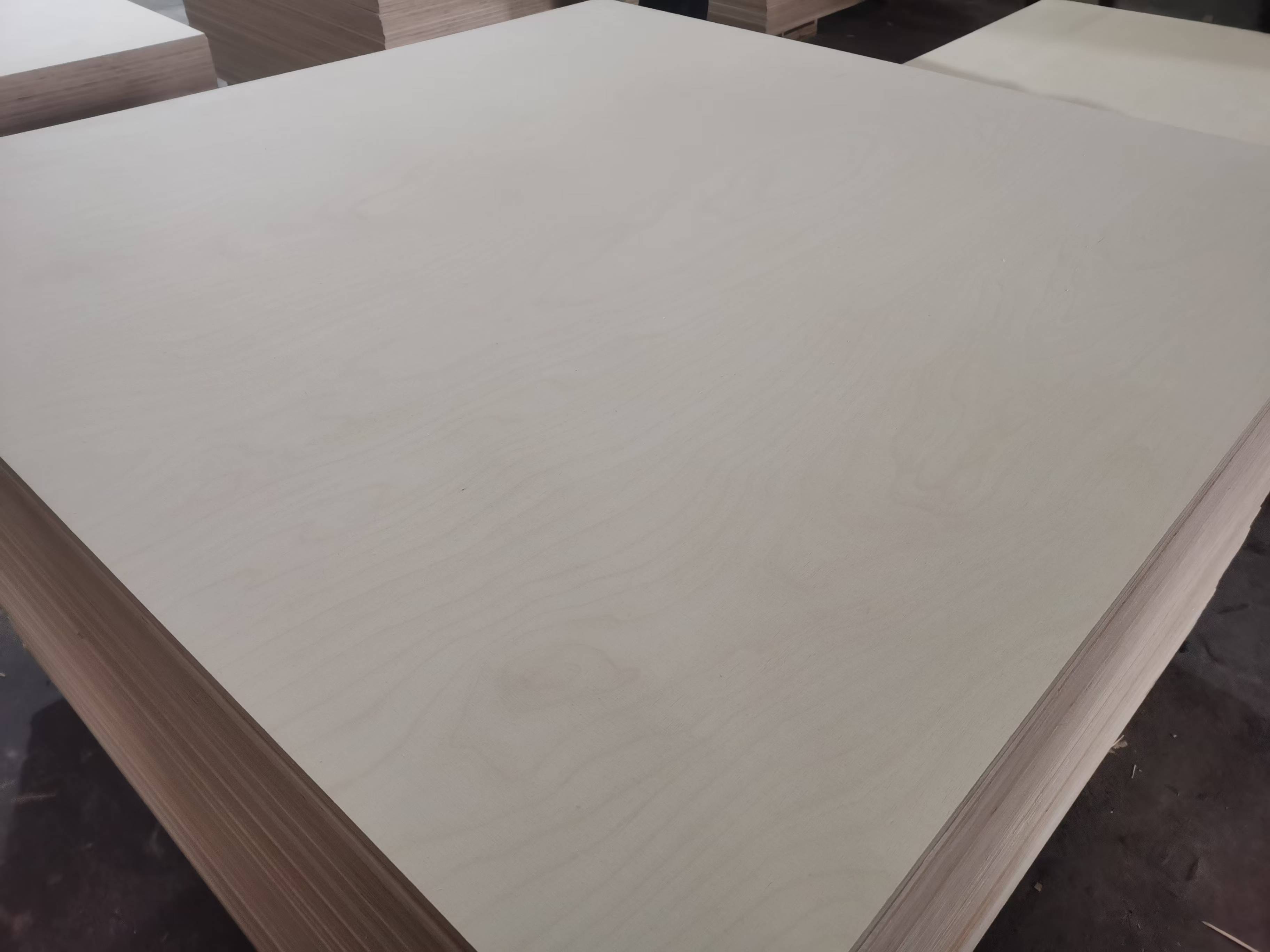 Birch plywood